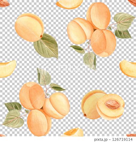 Apricots on a branch with green leaves vintage-style watercolor seamless pattern isolated on white. Perfect for retro-inspired packaging, cosmetics labels, eco branding, summer-themed product designs 126719114