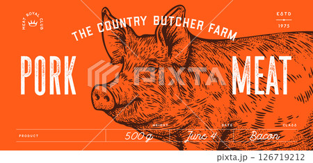 Pork, pig, hog, meat tag label. Template Meat Tag Label. Vintage print, tag, label farm pig sketch ink pencil style drawing. Butchery, pork pig farm, meat shop, text, typography. Vector Illustration 126719212