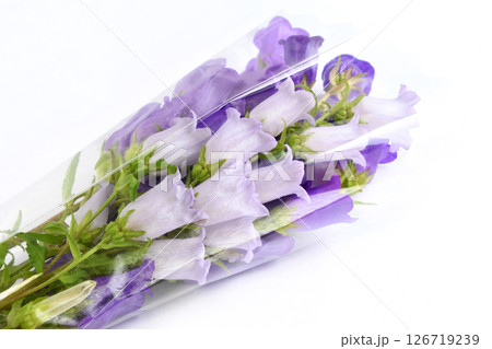 カンパニュラの花束 126719239