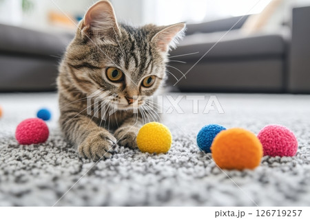 Curious tabby kitten playing with colorful fuzzy balls on soft carpet. Cozy indoor scene. Bright natural light. Focused expression. Playful pet moment. Home comfort and joy. Close-up. Horizontal Curious tabby kitten playing with colorful fuzzy balls on soft carpet. Cozy indoor scene. Bright natural light. Focused expression. Playful pet moment. Home comfort and joy. Close-up. Horizontal 126719257