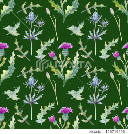 Seamless pattern. Field flowers. The image of summer. Watercolor illustration. Design element. 126719496