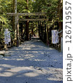 椿大神社　木漏れ日に包まれる椿大神社の鳥居と参道 126719557