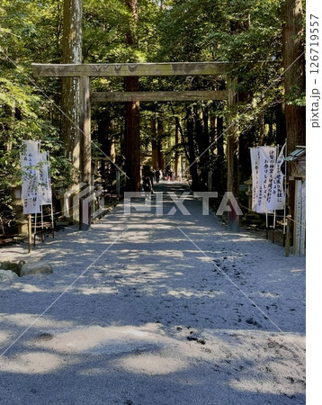 椿大神社　木漏れ日に包まれる椿大神社の鳥居と参道 126719557