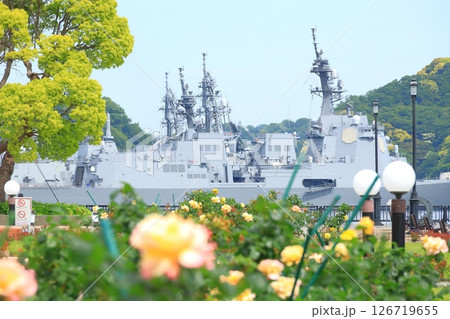 横須賀ヴェルニー公園のバラ園 126719655