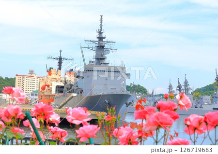 横須賀ヴェルニー公園のバラ園 126719683