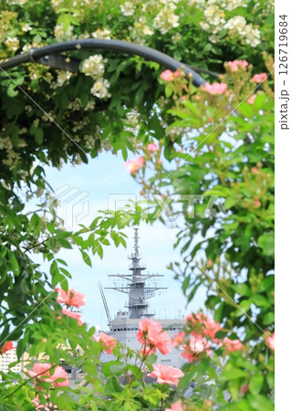 横須賀ヴェルニー公園のバラ園 126719684