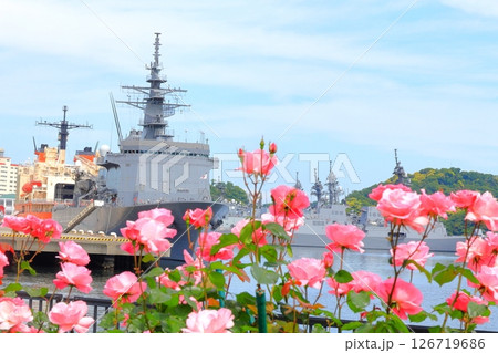 横須賀ヴェルニー公園のバラ園 126719686