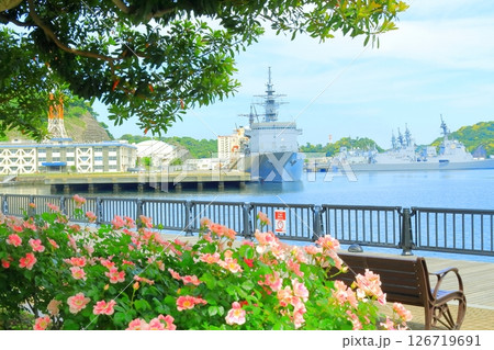 横須賀ヴェルニー公園のバラ園 横須賀ヴェルニー公園のバラ園 126719691