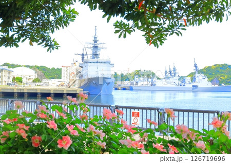 横須賀ヴェルニー公園のバラ園 126719696