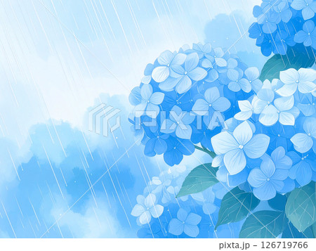 紫陽花　雨　梅雨 126719766