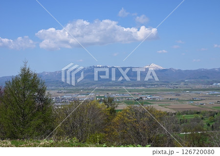 にわ山森林自然公園から望む 春の空知平野と樺戸連山 126720080