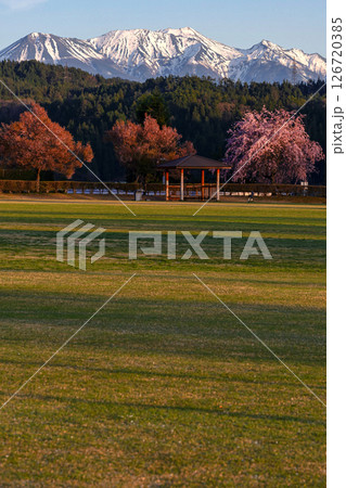 250424ひろ野g006 126720385