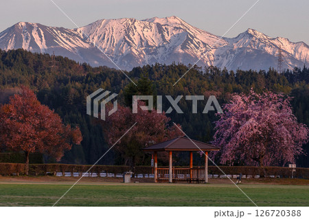 250424ひろ野g011 126720388