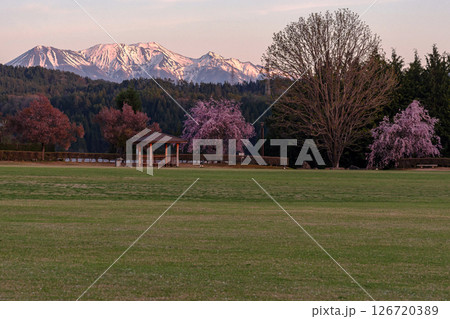 250424ひろ野g015 250424ひろ野g015 126720389