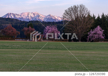 250424ひろ野g017 126720390