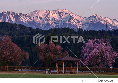 250424ひろ野g018 250424ひろ野g018 126720391