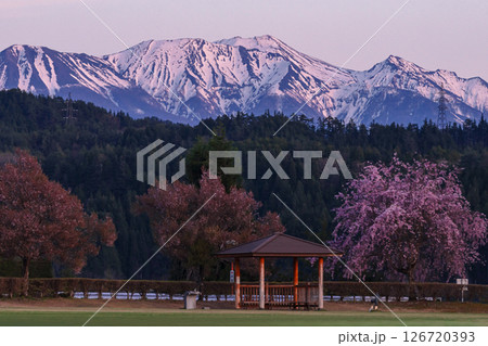 250424ひろ野g027 126720393