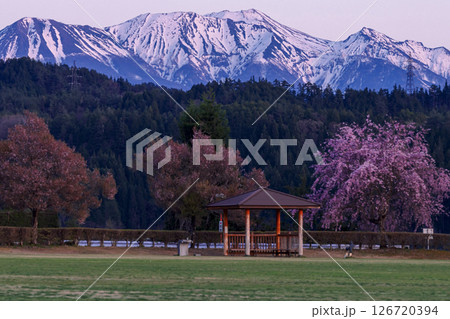 250424ひろ野g030 126720394