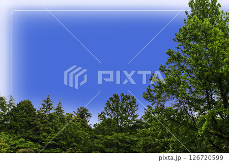 森と空の背景＿フレーム　白枠 126720599