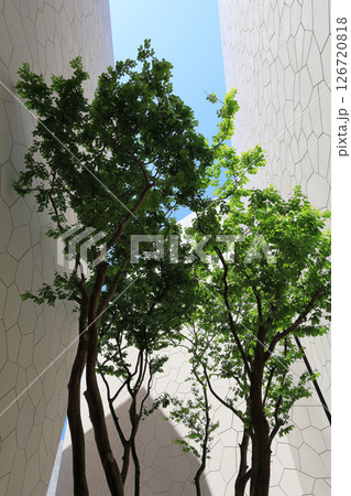 EXPO2025大阪・関西万博のサウジアラビア館 126720818