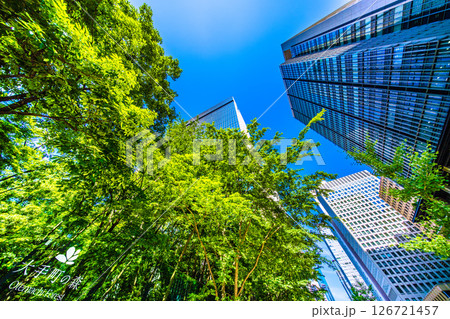 日本の東京都市景観 大手町の森などを望む。新たな時代に希望の光…＝5月28日 126721457