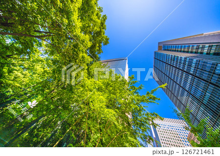 日本の東京都市景観 大手町の森などを望む。新たな時代に希望の光…＝5月28日 126721461