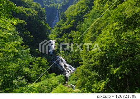 夏の石空川渓谷・精進ヶ滝と九段の滝 126721509