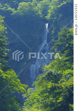 夏の石空川渓谷・精進ヶ滝 夏の石空川渓谷・精進ヶ滝 126721531