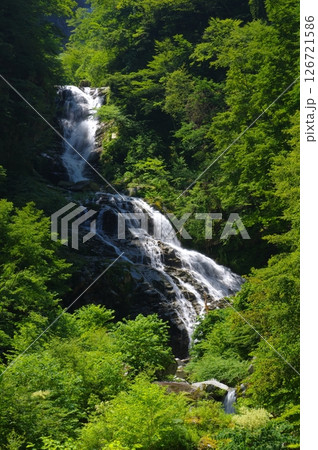 夏の石空川渓谷・九段の滝 126721586