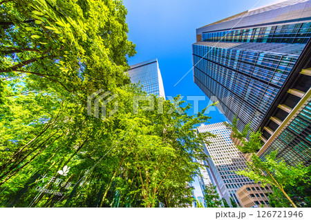 日本の東京都市景観 大手町の森などを望む。新緑に映えるオフィス街…新たな時代に希望の光…＝28日 126721946
