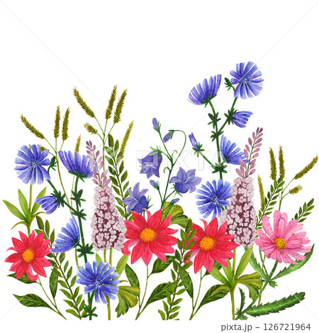 Watercolor border of hand painted colorful wildflowers and botanical greenery. Design for invitation, cards, textile and wallpaper 126721964