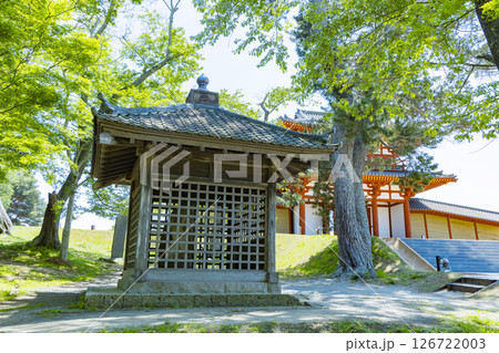 春の多賀城碑 多賀城南門 春の多賀城碑 多賀城南門 126722003