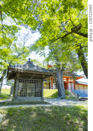 春の多賀城碑　多賀城南門 126722005