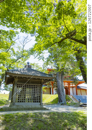 春の多賀城碑　多賀城南門 126722007