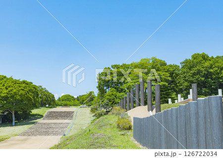 春の多賀城碑　多賀城南門 126722034