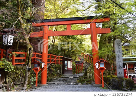 京都市 貴船神社本宮参道の鳥居と新緑 京都市 貴船神社本宮参道の鳥居と新緑 126722274