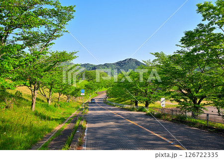 《愛知県》犬山市　新緑に包まれた坂道 126722335