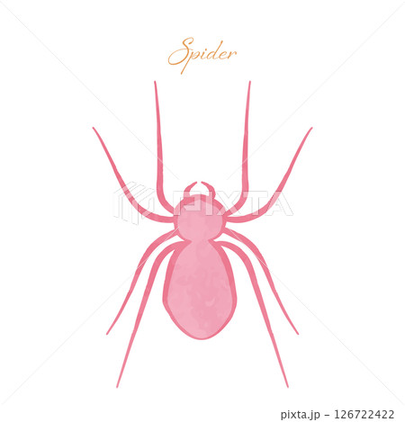 かわいいガーリーなスパイダーのイラスト かわいいガーリーなスパイダーのイラスト 126722422