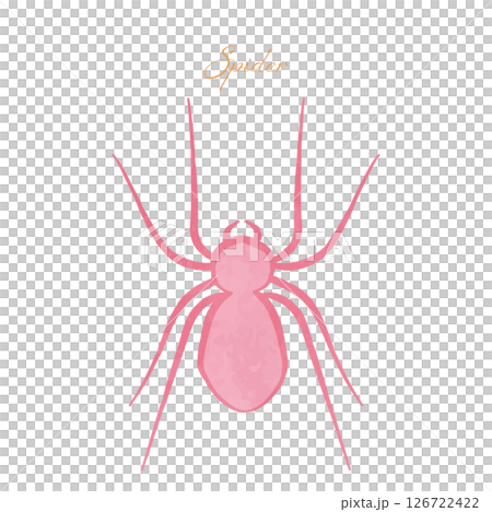 かわいいガーリーなスパイダーのイラスト かわいいガーリーなスパイダーのイラスト 126722422