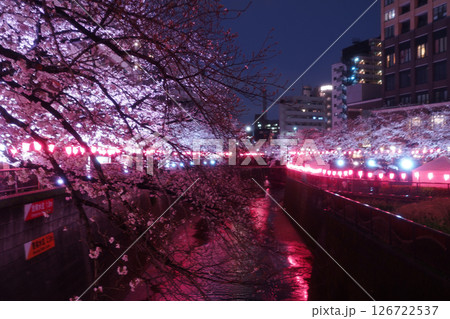 ライトアップされた夜桜 126722537
