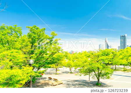 東京・初夏の代々木公園 東京・初夏の代々木公園 126723239