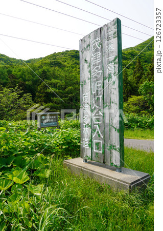 日本一高い茂津多岬灯台入口・茂津多林道 日本一高い茂津多岬灯台入口・茂津多林道 126723357