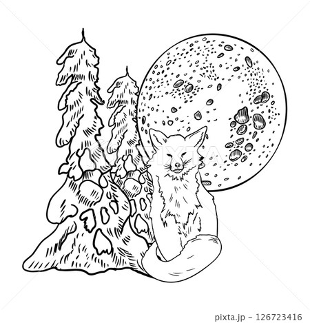Fox and moon, snowy pines, hand drawn black white contour vector illustration. Forest animal and trees in winter landscape monochrome art for magical Christmas scenes and woodland themed artwork. Fox and moon, snowy pines, hand drawn black white contour vector illustration. Forest animal and trees in winter landscape monochrome art for magical Christmas scenes and woodland themed artwork. 126723416