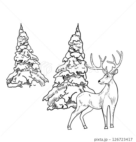 Deer standing among snowy conifer trees hand drawn black white outline vector illustration. Minimalist winter forest scene with doe stag for seasonal prints, rustic stationery and New Year packaging. Deer standing among snowy conifer trees hand drawn black white outline vector illustration. Minimalist winter forest scene with doe stag for seasonal prints, rustic stationery and New Year packaging. 126723417