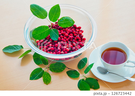 お店に売っているのを見たことがない、ジューンベリーの果実 126723442