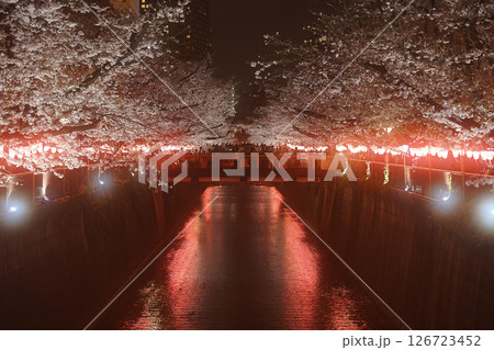 春のライトアップされた桜 126723452