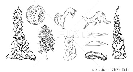 Foxes and coniferous forest hand drawn black white outline vector set illustration. Wild animals with fir trees, bare tree, full moon and snowdrift for winter woodland scene and Christmas landscape. Foxes and coniferous forest hand drawn black white outline vector set illustration. Wild animals with fir trees, bare tree, full moon and snowdrift for winter woodland scene and Christmas landscape. 126723532