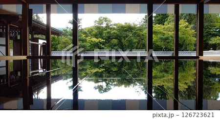 宝徳寺、夏の床もみじ【群馬県・桐生市】 126723621