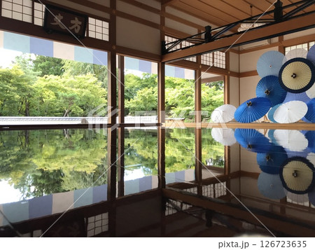 宝徳寺、夏の床もみじと和傘【群馬県・桐生市】 宝徳寺、夏の床もみじと和傘【群馬県・桐生市】 126723635