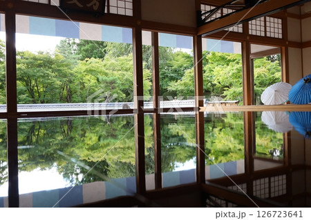 宝徳寺、夏の床もみじと和傘【群馬県・桐生市】 宝徳寺、夏の床もみじと和傘【群馬県・桐生市】 126723641